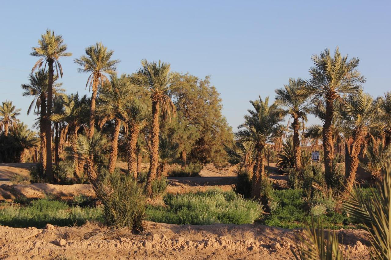 Palais Du Desert Hotel&Spa Erfoud Buitenkant foto